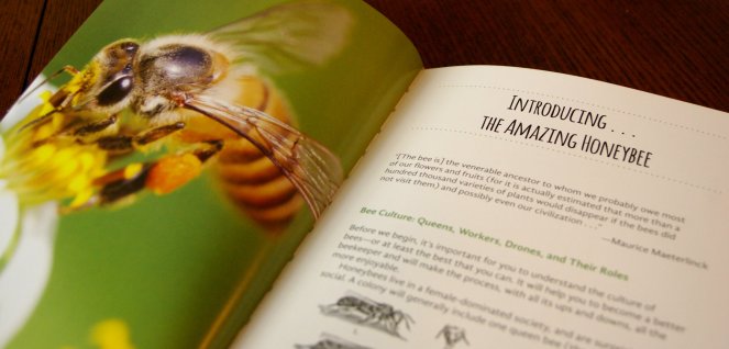 The-Good-Living-Guide-to-Beekeeping-Dede-Cummings (11)