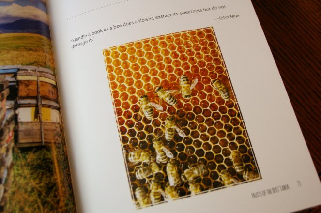 The-Good-Living-Guide-to-Beekeeping-Dede-Cummings (17)